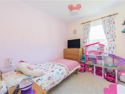 Picture 12